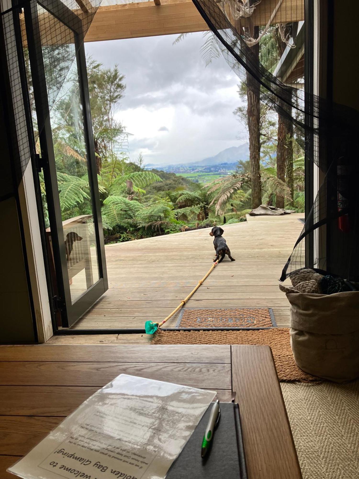 Golden Bay Glamping Hotel Takaka Exterior photo